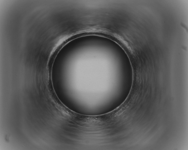 X0000091191270200708231501