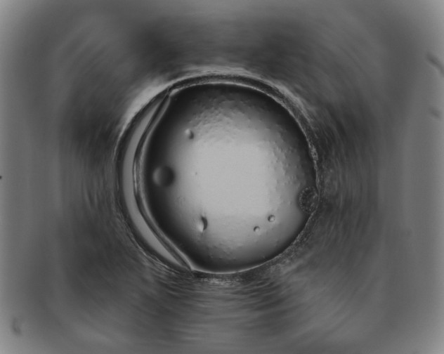 X0000091191271200708231501