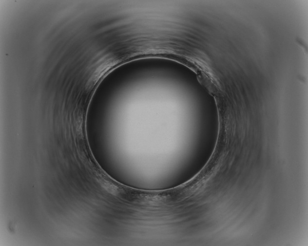 X0000091191273200708231501