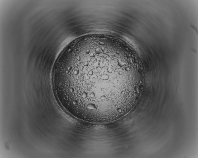 X0000091191283200708231500