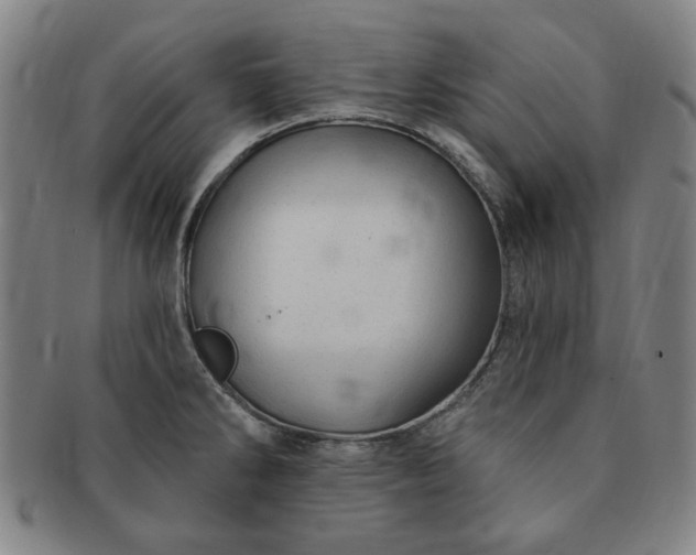 X0000091191286200708231500