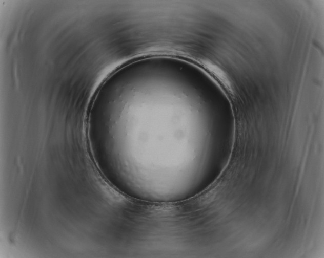 X0000091191288200708231500