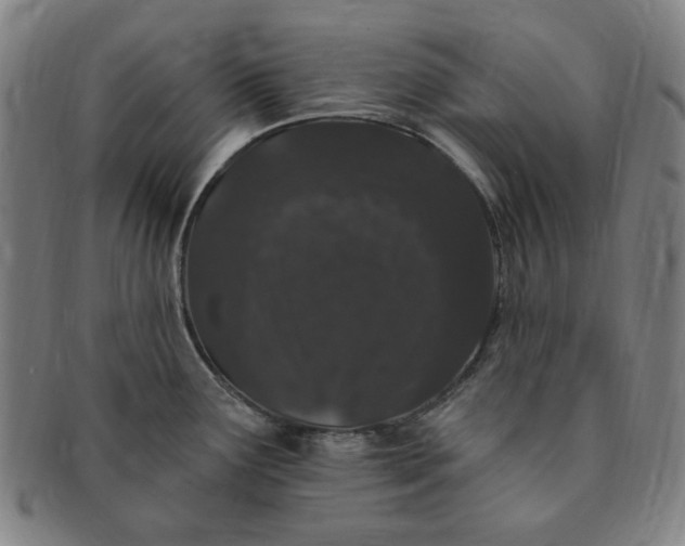 X0000091191291200708231500