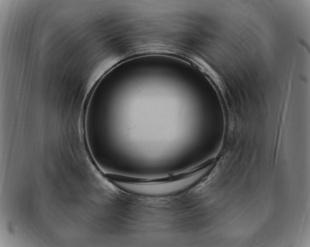 X0000091191293200708231500