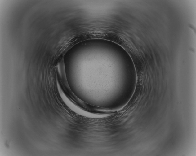 X0000091191298200708231500