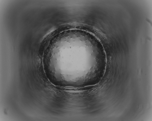 X0000091191302200708231500