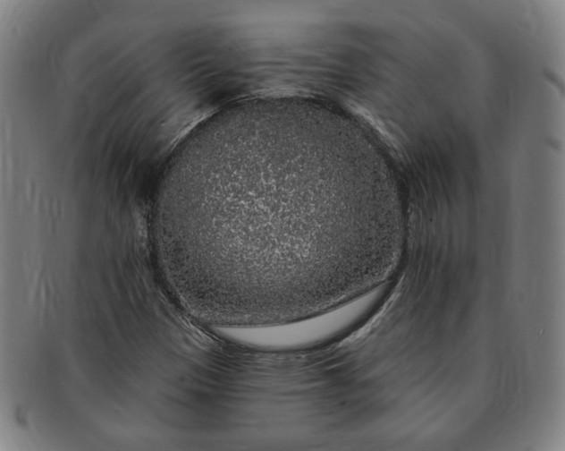 X0000091191305200708231500