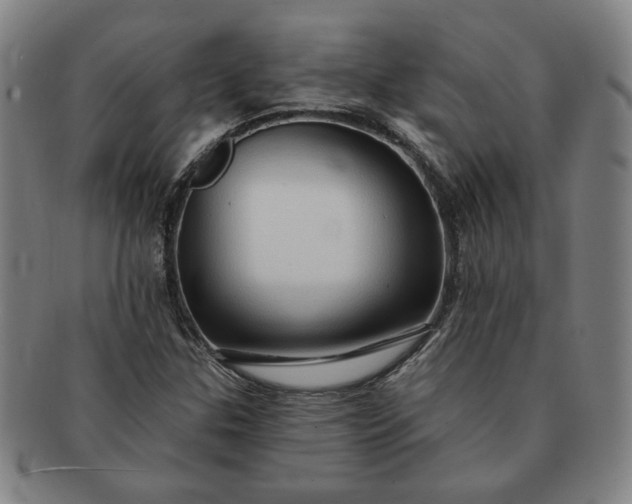 X0000091191307200708231500