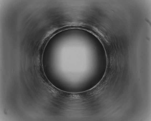 X0000091191315200708231500