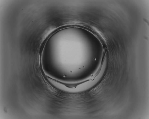 X0000091191320200708231500