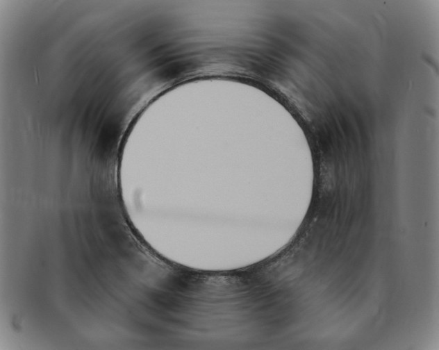 X0000091191322200708231500