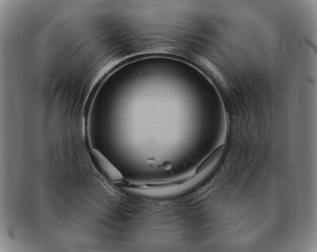 X0000091191324200708231500