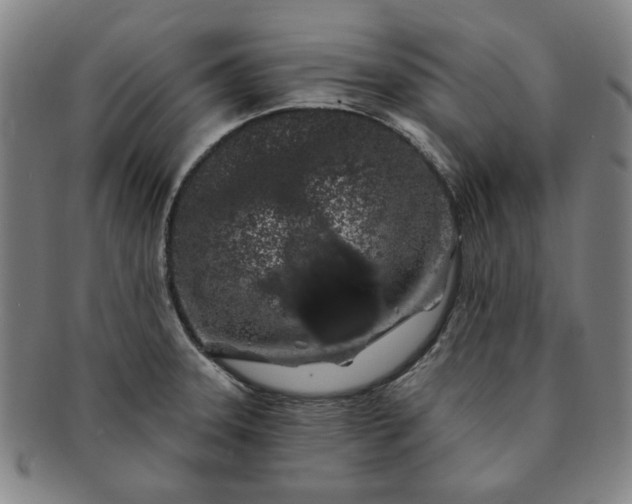 X0000091191331200708231500