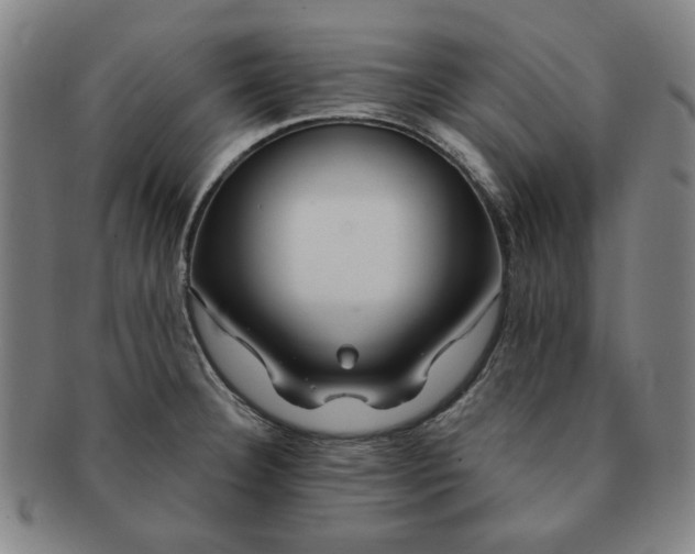 X0000091191332200708231500