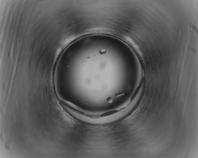 X0000091191336200708231500