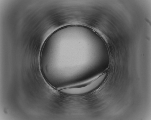 X0000091191343200708231500