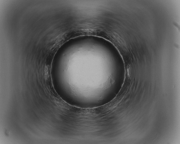 X0000091191347200708231459
