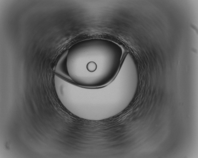X0000091191348200708231459