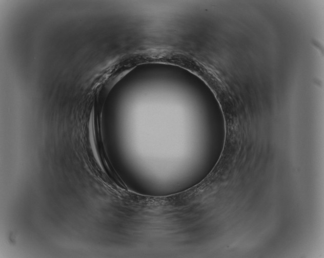 X0000091191349200708231459