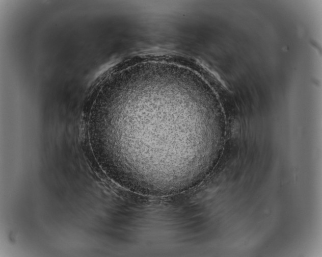 X0000091191350200708231459
