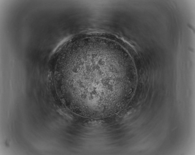 X0000091191351200708231459
