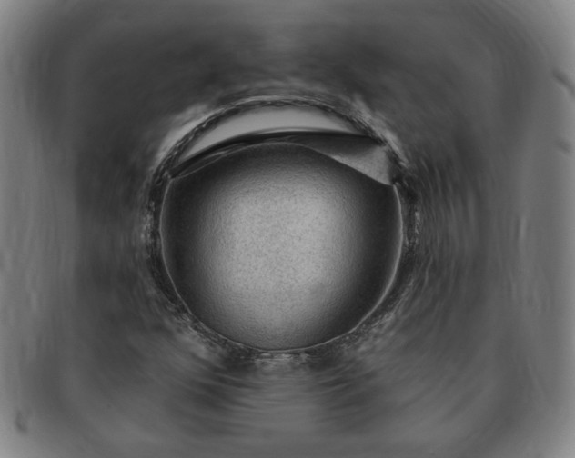 X0000091191352200708231459