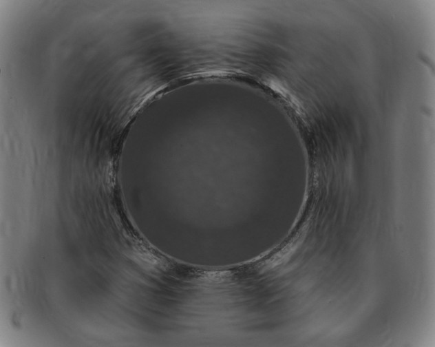 X0000091191353200708231459