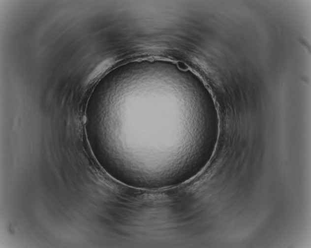 X0000091191354200708231459