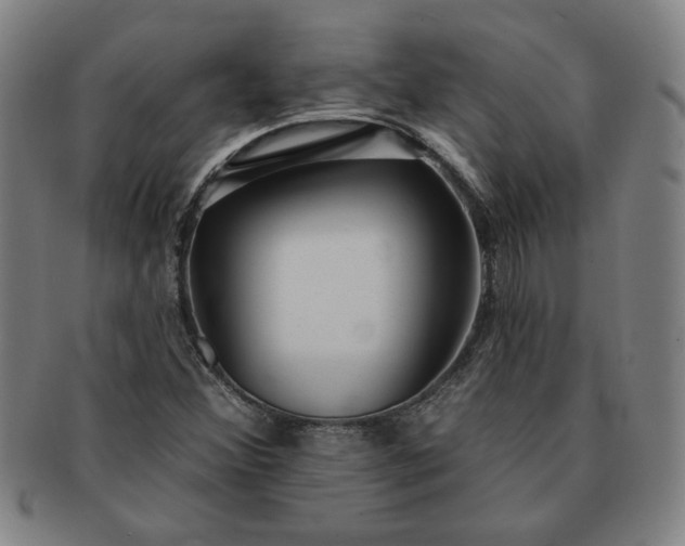 X0000091191356200708231459