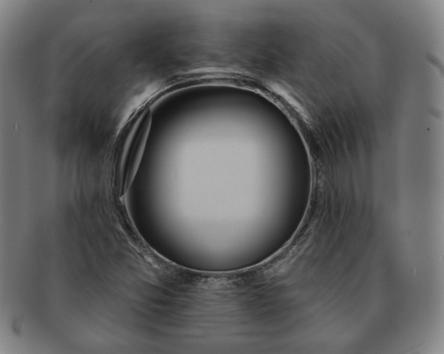 X0000091191357200708231459