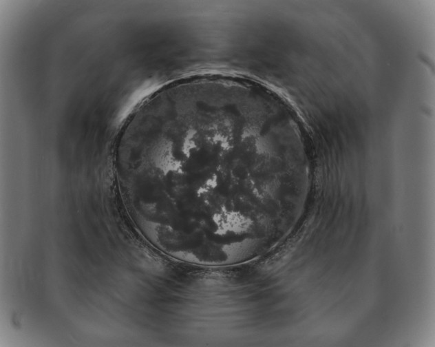 X0000091191359200708231459