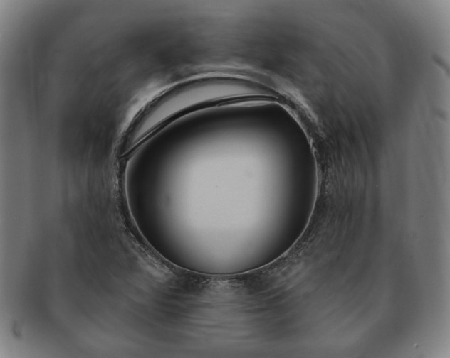 X0000091191360200708231459