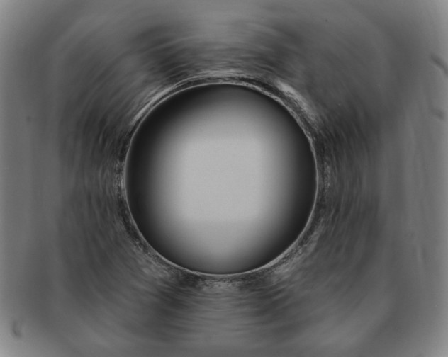 X0000091191361200708231459