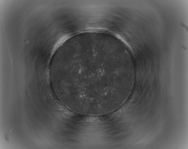X0000091191362200708231459
