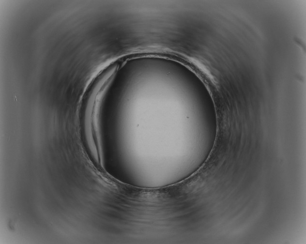 X0000091191364200708231459
