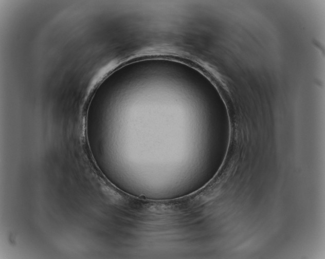 X0000091191366200708231459