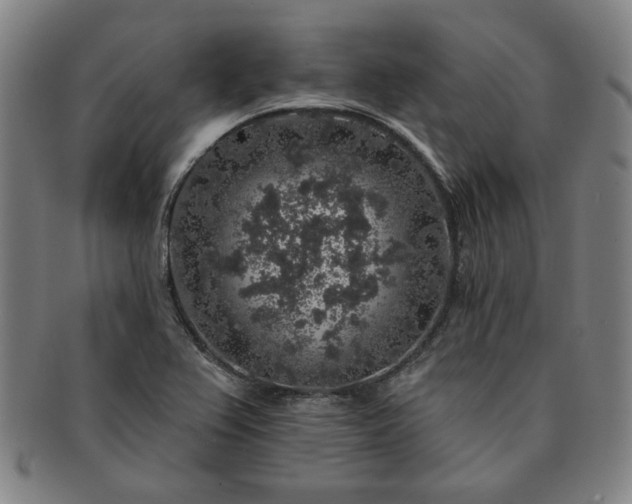 X0000091191367200708231459