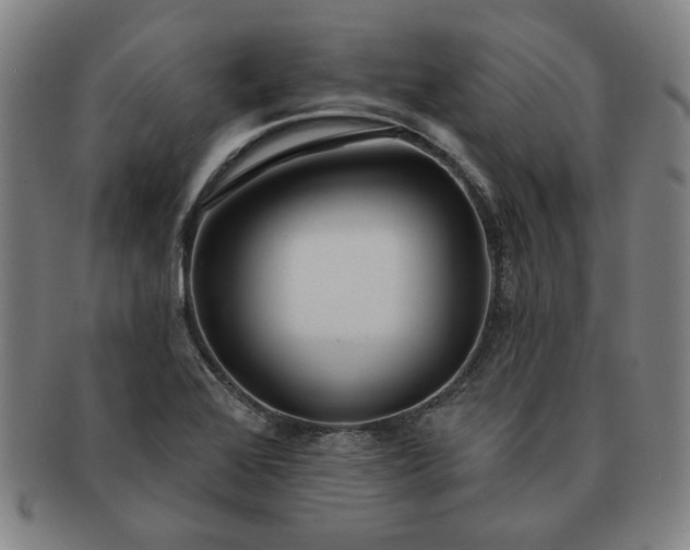 X0000091191368200708231459
