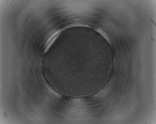 X0000091191369200708231459