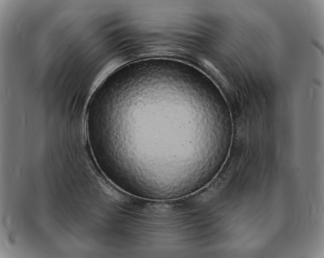 X0000091191370200708231459