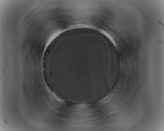 X0000091191373200708231459
