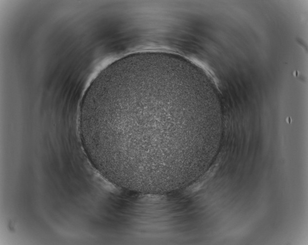 X0000091191374200708231459