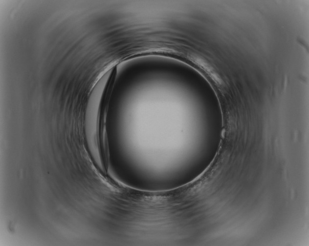 X0000091191377200708231459