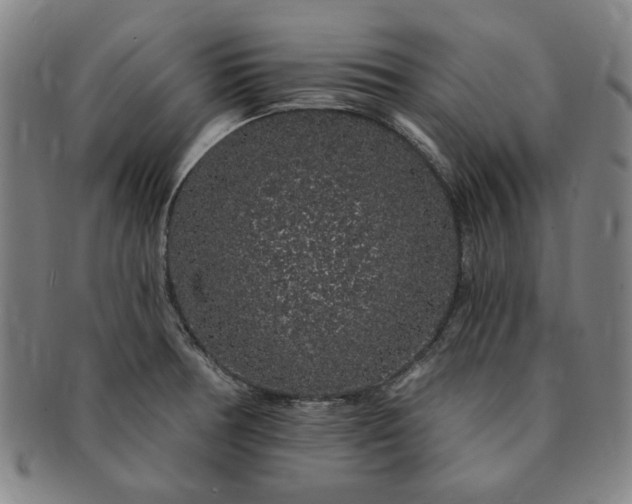 X0000091191378200708231459