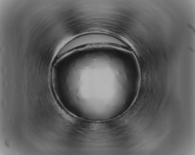 X0000091191379200708231459