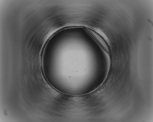 X0000091191380200708231459