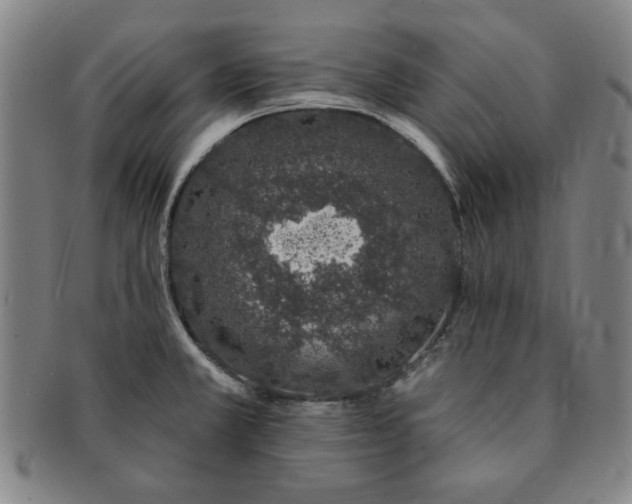 X0000091191381200708231459