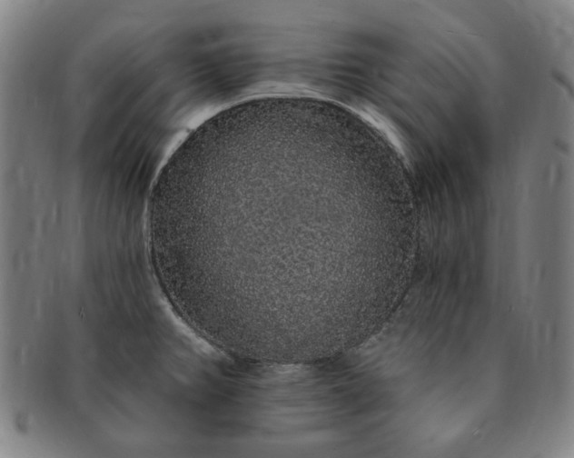 X0000091191382200708231459