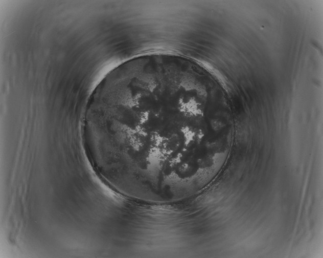 X0000091191383200708231459
