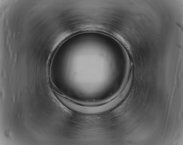 X0000091191384200708231459